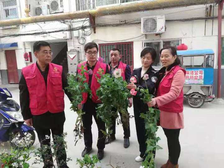 大发快三计划1期必中—主页-鲁晚报网-山东新闻门户 传播品质资讯